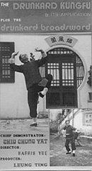 Drunkard Kung-Fu And Its Application